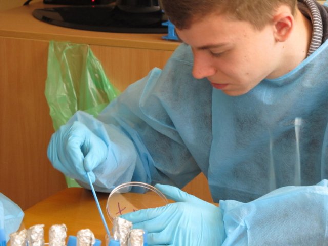 Druga część warsztatów mikrobiologii środowiskowej